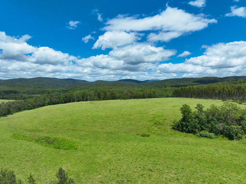 Photo - Lot 164 Paddys Flat Road, Tabulam NSW 2469 - Image 12