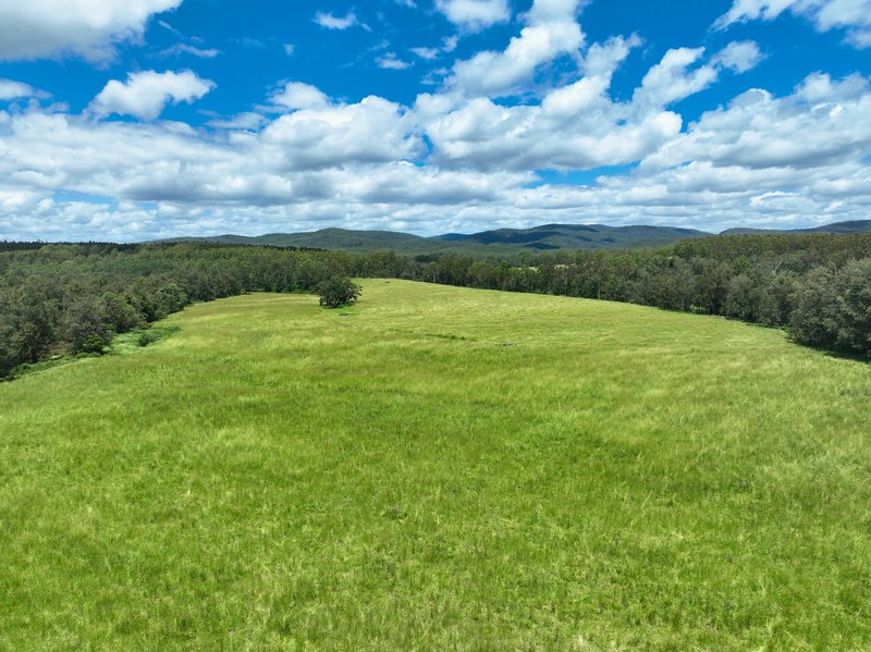 Photo - Lot 164 Paddys Flat Road, Tabulam NSW 2469 - Image 14