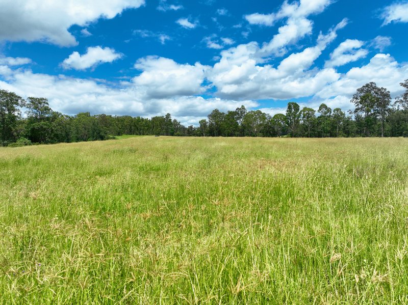 Photo - Lot 164 Paddys Flat Road, Tabulam NSW 2469 - Image 15