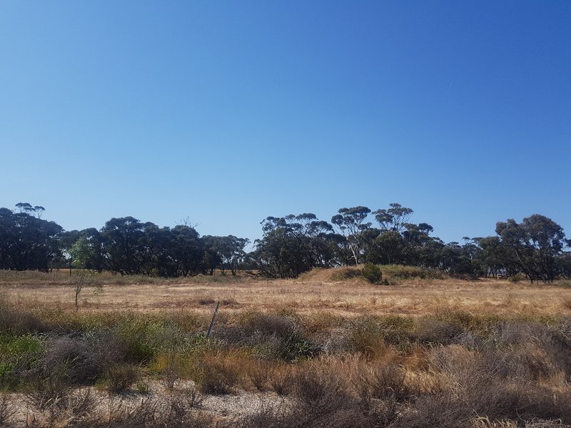 Lot 165 165 (L) Woolawa Street, Moora WA 6510