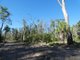 Photo - Lot 165 Capricornia Drive, Deepwater QLD 4674 - Image 2