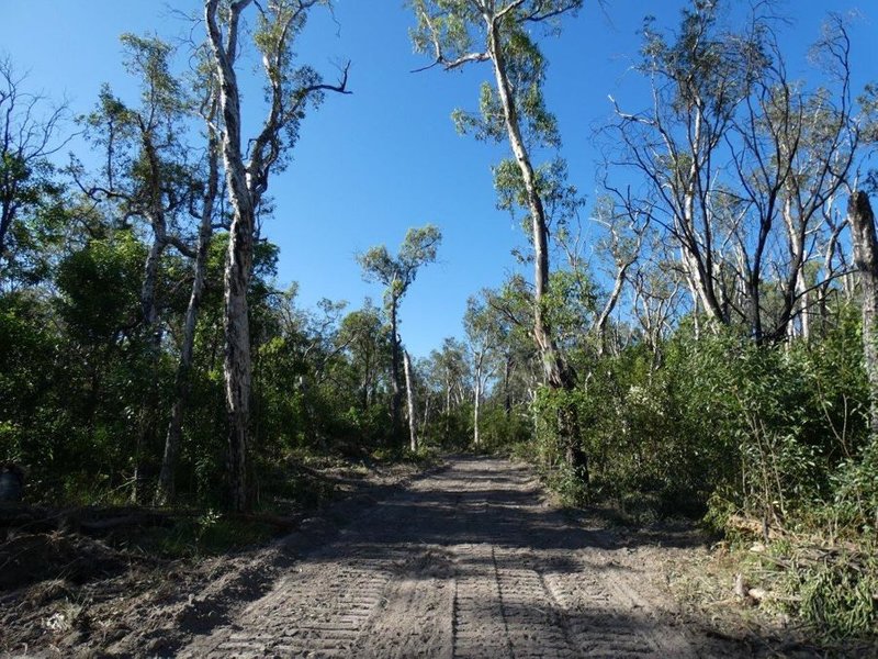 Photo - Lot 165 Capricornia Drive, Deepwater QLD 4674 - Image 3