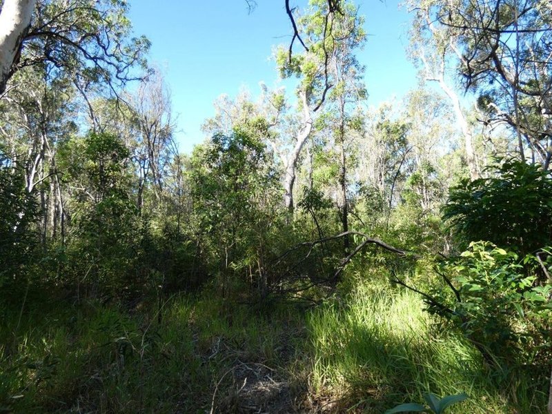 Photo - Lot 165 Capricornia Drive, Deepwater QLD 4674 - Image 4