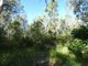 Photo - Lot 165 Capricornia Drive, Deepwater QLD 4674 - Image 4