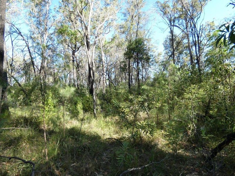 Photo - Lot 165 Capricornia Drive, Deepwater QLD 4674 - Image 8