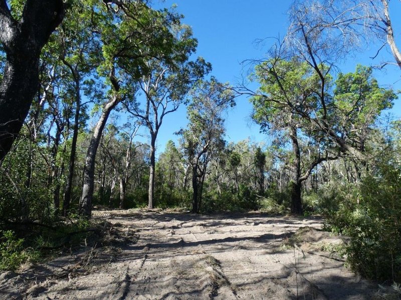 Photo - Lot 165 Capricornia Drive, Deepwater QLD 4674 - Image 10