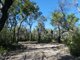 Photo - Lot 165 Capricornia Drive, Deepwater QLD 4674 - Image 10