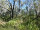 Photo - Lot 165 Capricornia Drive, Deepwater QLD 4674 - Image 12