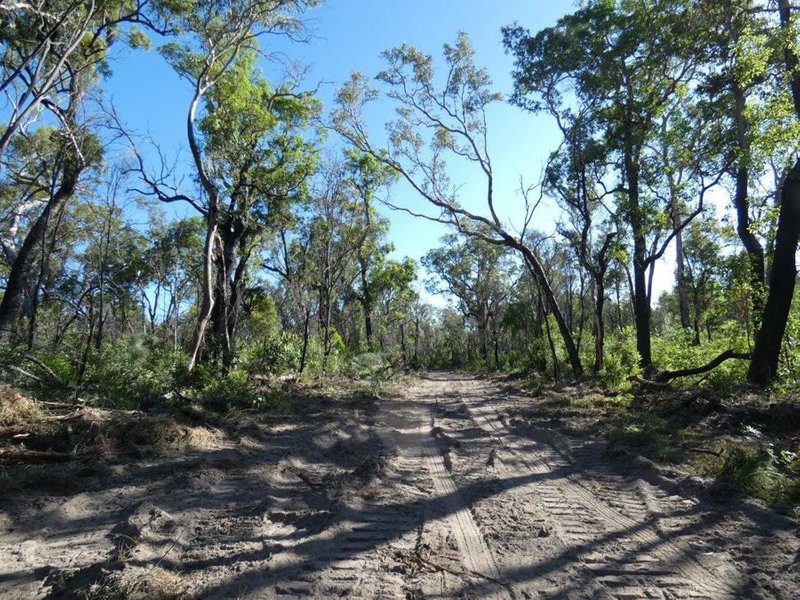 Photo - Lot 165 Capricornia Drive, Deepwater QLD 4674 - Image 13