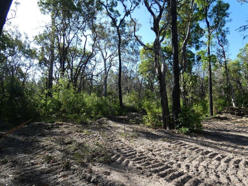 Photo - Lot 165 Capricornia Drive, Deepwater QLD 4674 - Image 14