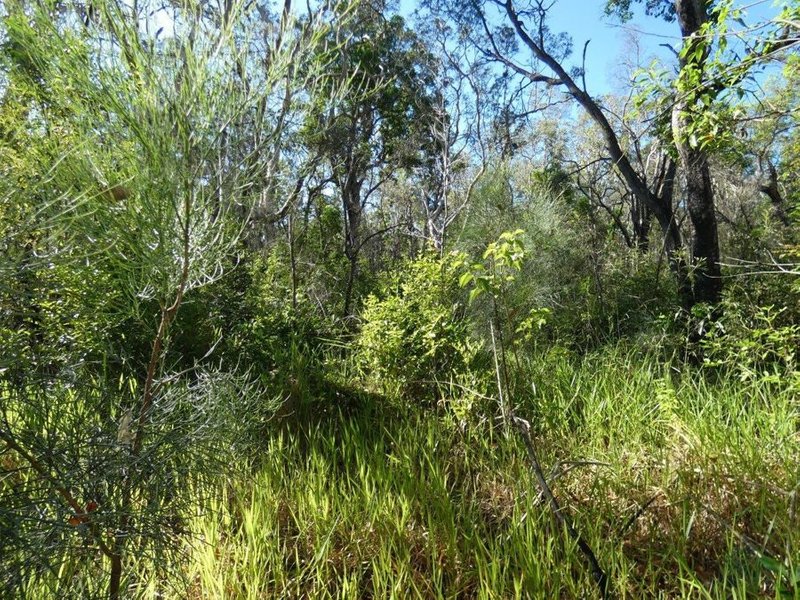 Photo - Lot 165 Capricornia Drive, Deepwater QLD 4674 - Image 17