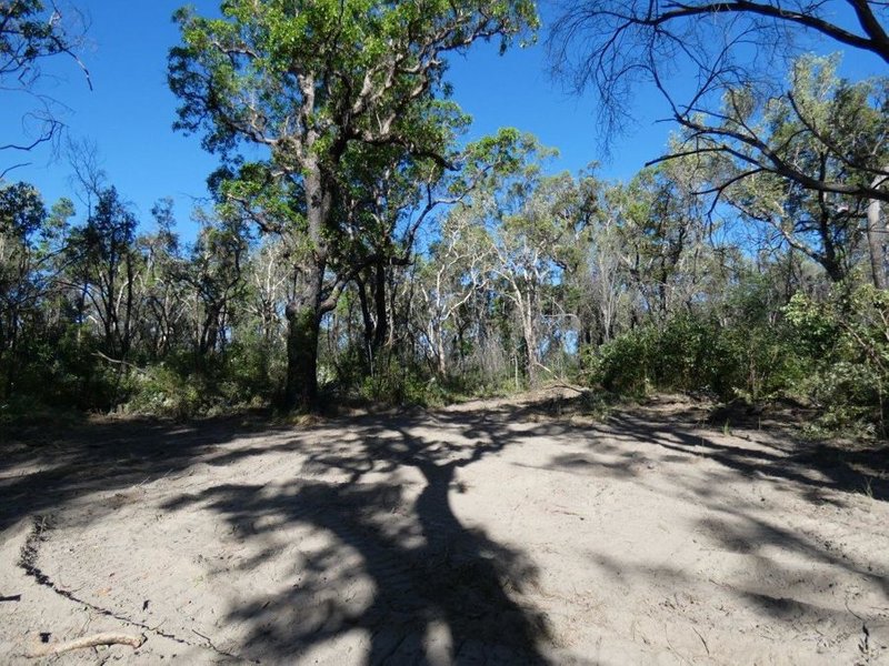 Photo - Lot 165 Capricornia Drive, Deepwater QLD 4674 - Image 18