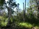 Photo - Lot 165 Capricornia Drive, Deepwater QLD 4674 - Image 19