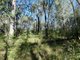 Photo - Lot 165 Capricornia Drive, Deepwater QLD 4674 - Image 25