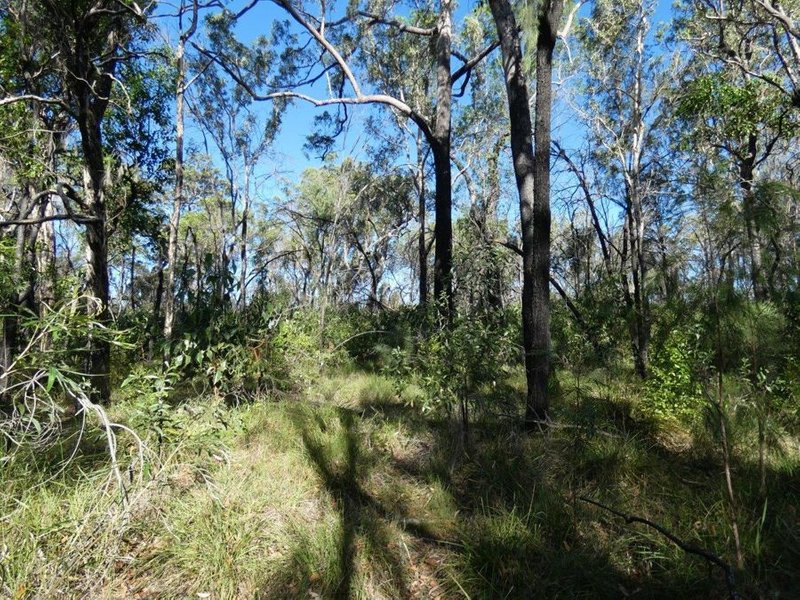 Photo - Lot 165 Capricornia Drive, Deepwater QLD 4674 - Image 26