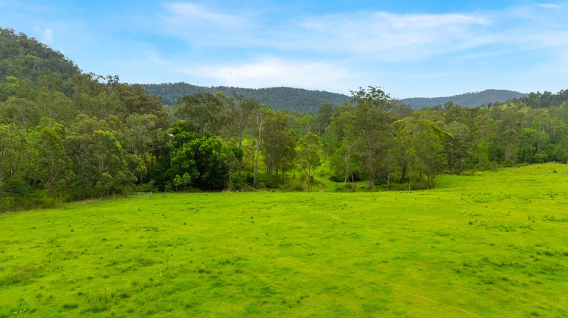 Photo - Lot 165 Old Glen Innes Road, Buccarumbi NSW 2460 - Image 6