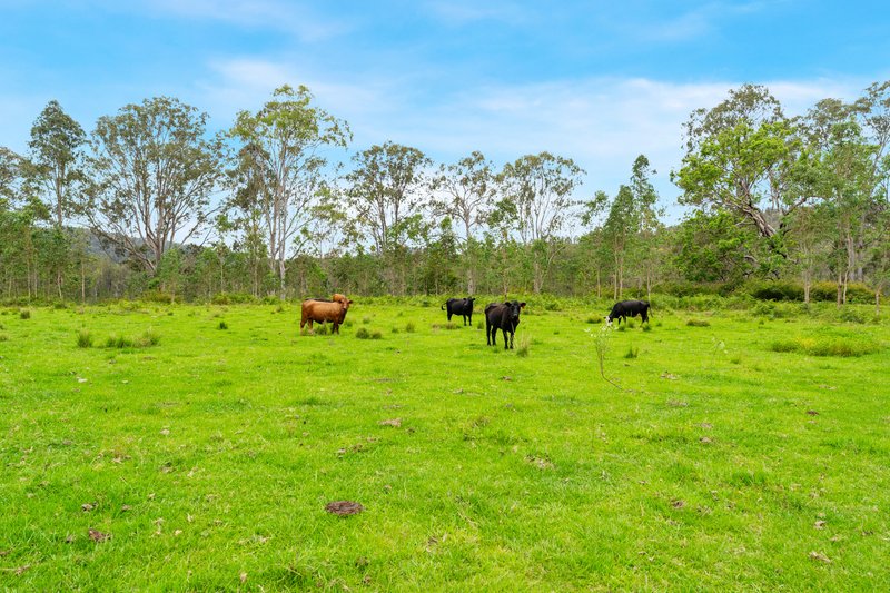 Photo - Lot 165 Old Glen Innes Road, Buccarumbi NSW 2460 - Image 12