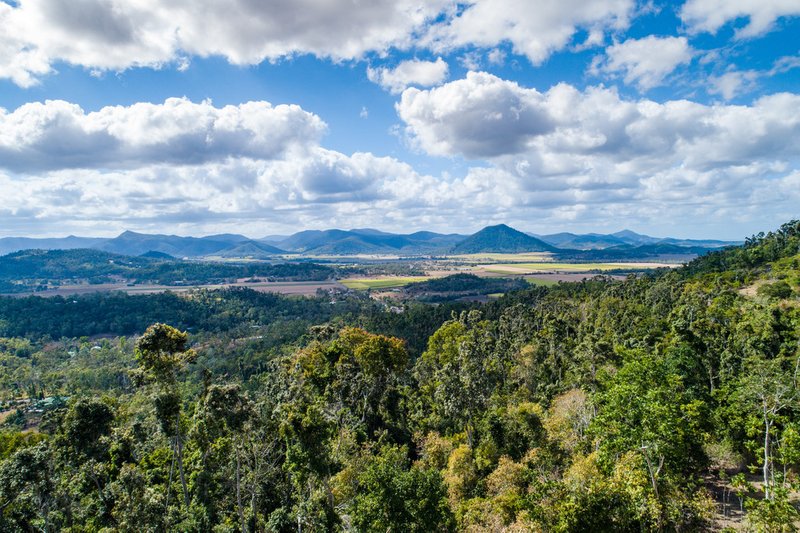 Photo - Lot 166 Staniland Drive, Strathdickie QLD 4800 - Image 4