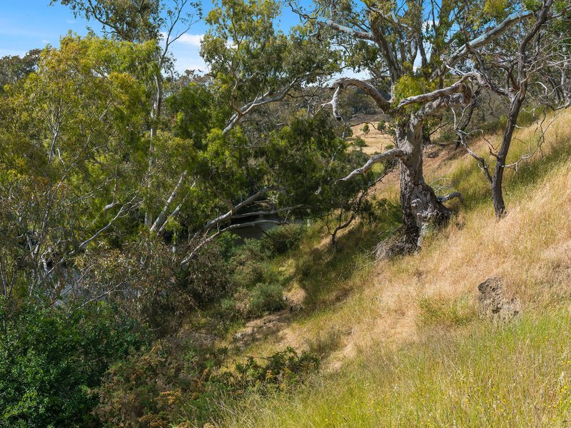 Photo - Lot 17 2012 Heathcote Redesdale Road, Redesdale VIC 3444 - Image 12