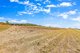 Photo - Lot 17 411 Delan Road, Delan QLD 4671 - Image 5