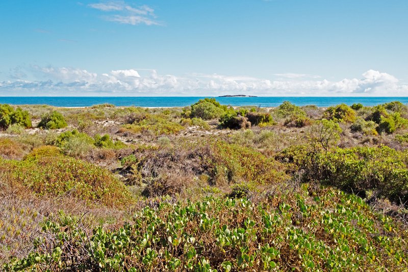 Photo - Lot 17, 5 Sea Eagle Court, Jurien Bay WA 6516 - Image 5