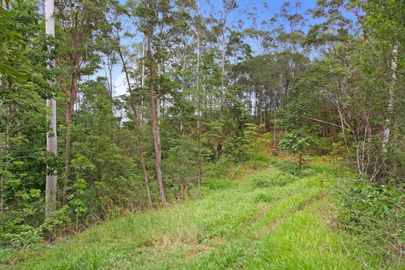 Photo - Lot 17 Board Lane, Buderim QLD 4556 - Image 3