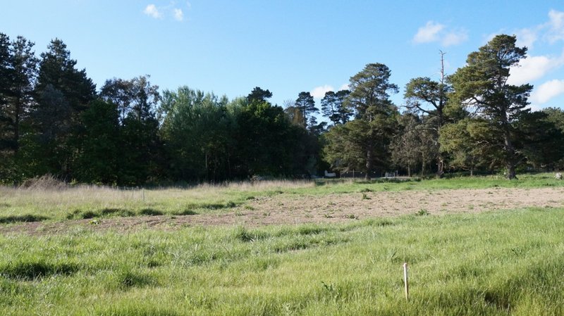 Photo - Lot 17 Eridge Park Road, Burradoo NSW 2576 - Image 4