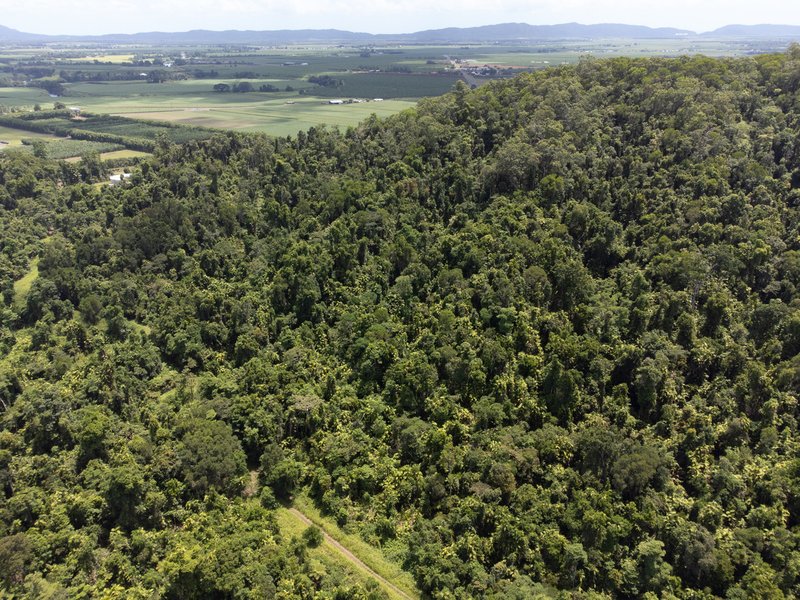 Lot 17 Experimental Station Boogan Road, South Johnstone QLD 4859