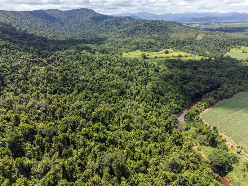 Photo - Lot 17 Experimental Station Boogan Road, South Johnstone QLD 4859 - Image 3