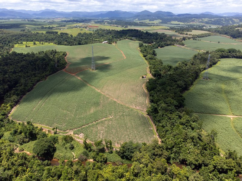 Photo - Lot 17 Experimental Station Boogan Road, South Johnstone QLD 4859 - Image 4