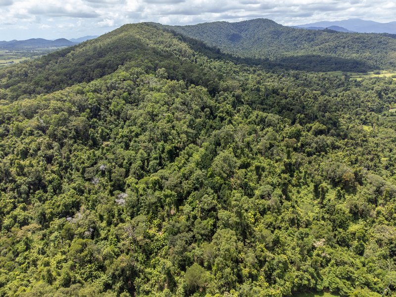 Photo - Lot 17 Experimental Station Boogan Road, South Johnstone QLD 4859 - Image 6