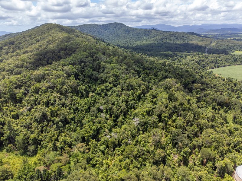 Photo - Lot 17 Experimental Station Boogan Road, South Johnstone QLD 4859 - Image 8