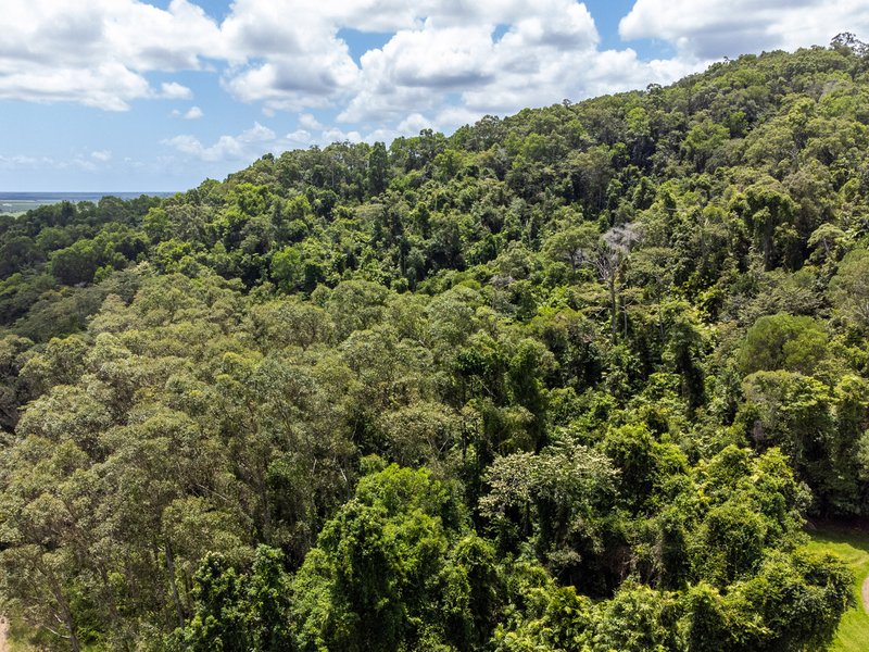 Photo - Lot 17 Experimental Station Boogan Road, South Johnstone QLD 4859 - Image 9