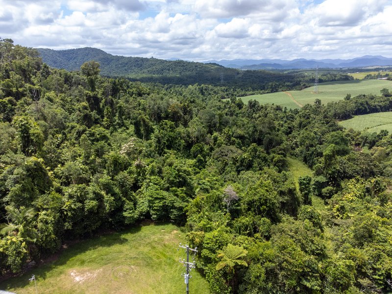 Photo - Lot 17 Experimental Station Boogan Road, South Johnstone QLD 4859 - Image 10