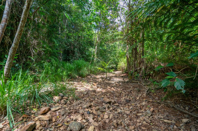 Photo - Lot 17 Experimental Station Boogan Road, South Johnstone QLD 4859 - Image 11