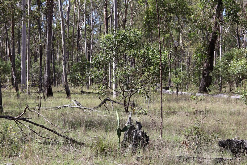 Photo - Lot 17 Greentree Road, Beeron , Mundubbera QLD 4626 - Image 9