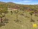 Photo - Lot 170 Davies Road, Captain Creek QLD 4677 - Image 21