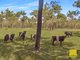 Photo - Lot 170 Davies Road, Captain Creek QLD 4677 - Image 22