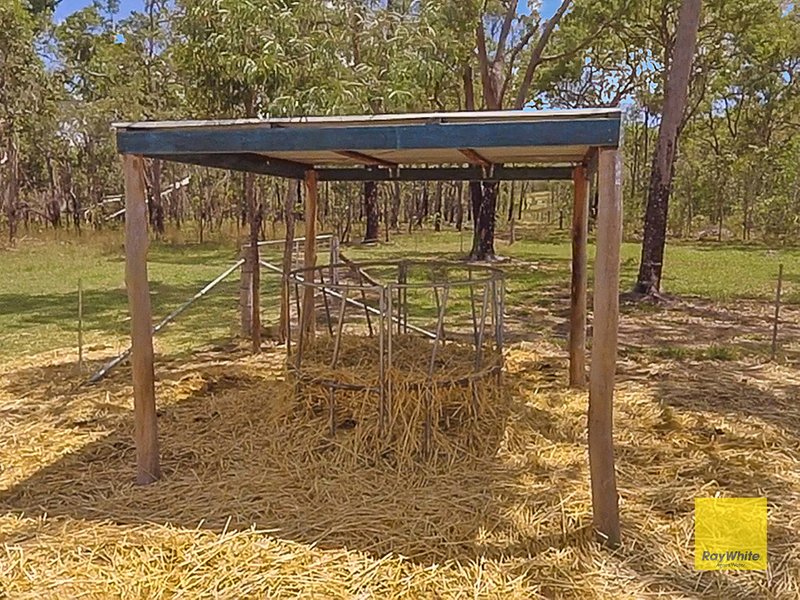 Photo - Lot 170 Davies Road, Captain Creek QLD 4677 - Image 24