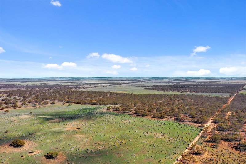 Photo - Lot 171 Thiele Highway, Bower SA 5374 - Image 6