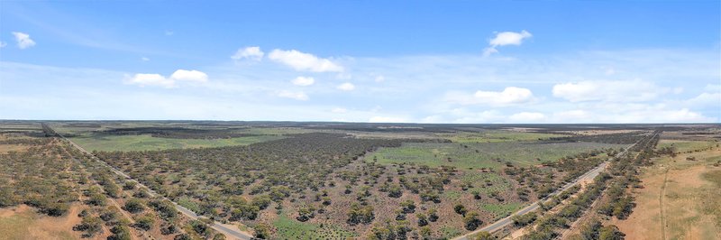 Photo - Lot 171 Thiele Highway, Bower SA 5374 - Image 9