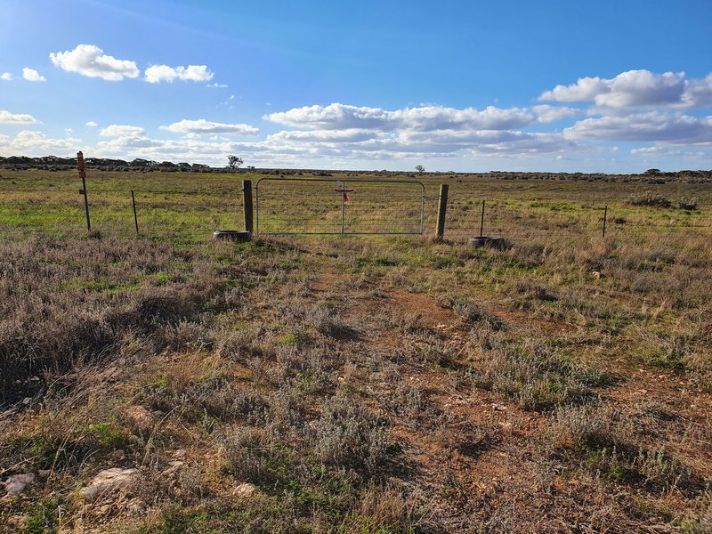 Photo - Lot 171 Thiele Highway, Bower SA 5374 - Image 10