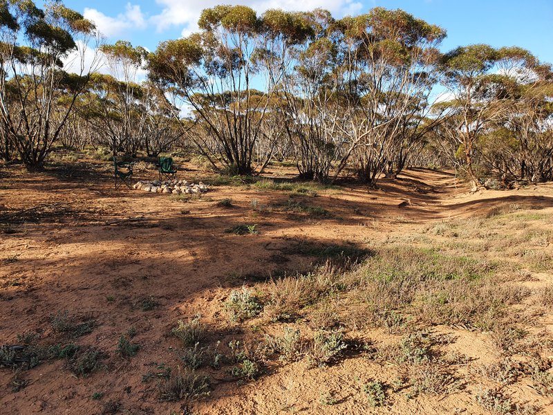 Photo - Lot 171 Thiele Highway, Bower SA 5374 - Image 11