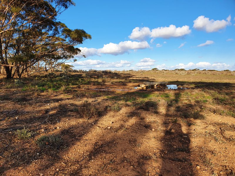 Photo - Lot 171 Thiele Highway, Bower SA 5374 - Image 12