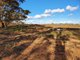 Photo - Lot 171 Thiele Highway, Bower SA 5374 - Image 12