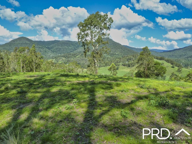 Photo - Lot 173 Gradys Creek Road, Loadstone Via , Kyogle NSW 2474 - Image