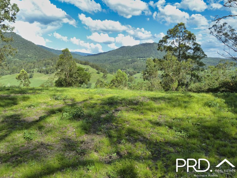 Photo - Lot 173 Gradys Creek Road, Loadstone Via , Kyogle NSW 2474 - Image 4