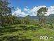 Photo - Lot 173 Gradys Creek Road, Loadstone Via , Kyogle NSW 2474 - Image 5