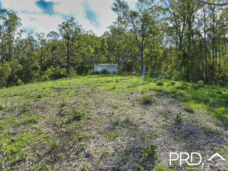 Photo - Lot 173 Gradys Creek Road, Loadstone Via , Kyogle NSW 2474 - Image 7