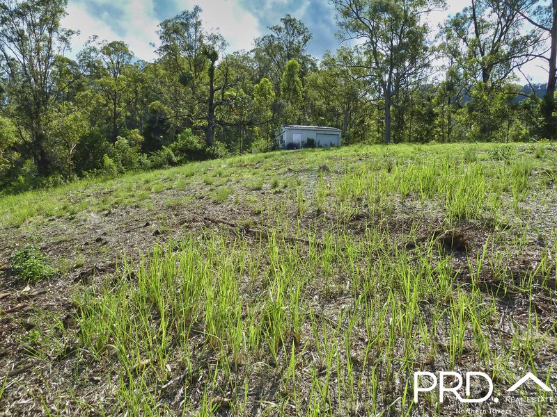 Photo - Lot 173 Gradys Creek Road, Loadstone Via , Kyogle NSW 2474 - Image 8